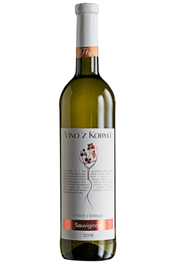 Sauvignon Víno z Kobylí - Pravda o lidech a zemi Sauvignon Víno z Kobylí - Pravda o lidech a zemi